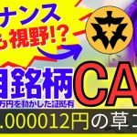【現在0.000012円の草コイン】バイナンス上場も視野!?開発者が4700万円動かした証拠有り注目銘柄CAW【SHIBAINUコイン】DOGE