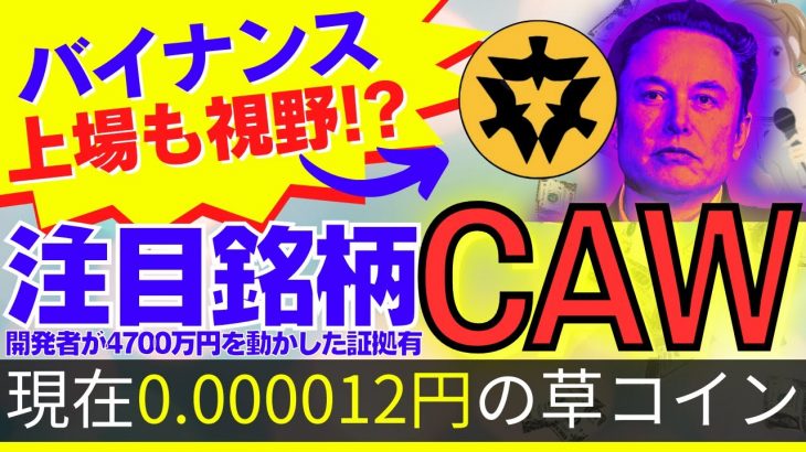 【現在0.000012円の草コイン】バイナンス上場も視野!?開発者が4700万円動かした証拠有り注目銘柄CAW【SHIBAINUコイン】DOGE