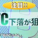 【BTC、SOL】ビットコイン下落が狙い⁉︎（2024年2月3日相場分析）
