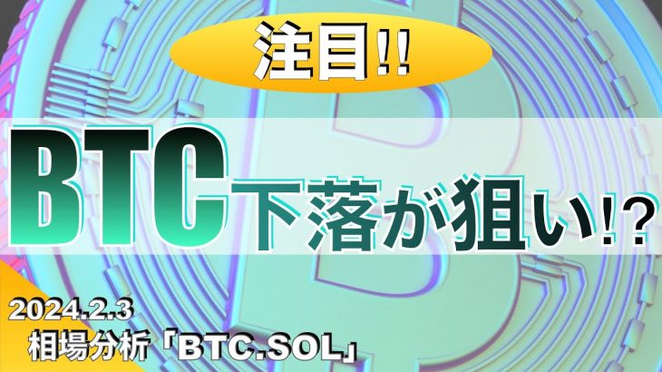 【BTC、SOL】ビットコイン下落が狙い⁉︎（2024年2月3日相場分析）