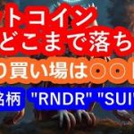 ビットコイン今後どこまで落ちる！？買い場をズバリ解説！！注目のアルトコイン”RNDR” ”SUI”  【2024/2/1暗号通貨チャート分析】