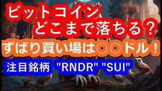 ビットコイン今後どこまで落ちる！？買い場をズバリ解説！！注目のアルトコイン”RNDR” ”SUI”  【2024/2/1暗号通貨チャート分析】