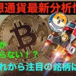 SHIB （柴犬コイン）+400%更新！　今日から注目の６銘柄