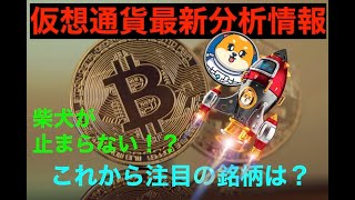 SHIB （柴犬コイン）+400%更新！　今日から注目の６銘柄