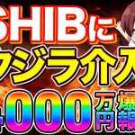 【爆益注意】今年大注目のSHIBとあのコインにクジラ介入予定…?!知らないと損するコインの話