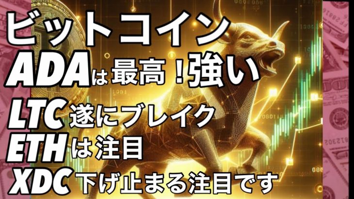 ビットコイン カルダノは最高　ライトコイン遂にブレイク　イーサリアムに注目　XDCは下げ止まる注目です