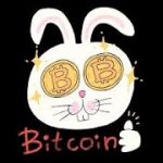 大注目！ビットコインの値動き