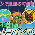 【2024年3月】注目のミームコインTOP5｜ブルランで急騰の可能性！？