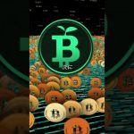 これらの3つのコインは注目に値するでしょうか？ #shorts #greenbitcoin  #bitcoinminetrix