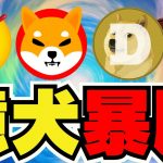 【🔥犬系仮想通貨が爆熱】アルトコイン急騰展開！Doge・柴犬・Bonkに最注目｜ビットコイン調整入る｜イーサリアム過去最高はいつ？｜Solanaは上がるのか｜XRP集団訴訟。。