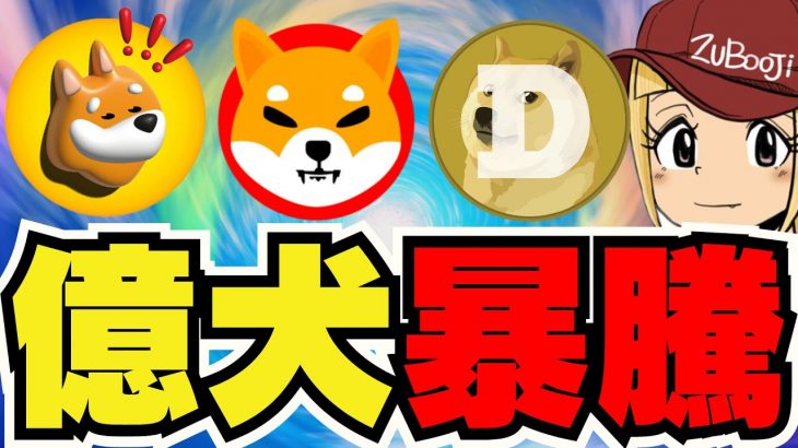 【🔥犬系仮想通貨が爆熱】アルトコイン急騰展開！Doge・柴犬・Bonkに最注目｜ビットコイン調整入る｜イーサリアム過去最高はいつ？｜Solanaは上がるのか｜XRP集団訴訟。。