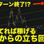 僕なら〇〇コイン買います。ビットコイン史上最高値でも他の草コインを仕込む決定的な理由【仮想通貨】