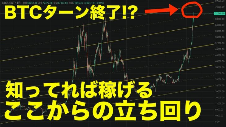 僕なら〇〇コイン買います。ビットコイン史上最高値でも他の草コインを仕込む決定的な理由【仮想通貨】