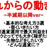 【仮想通貨の最適解】⚠️BTC下落中⚠️バブルまでの動き方