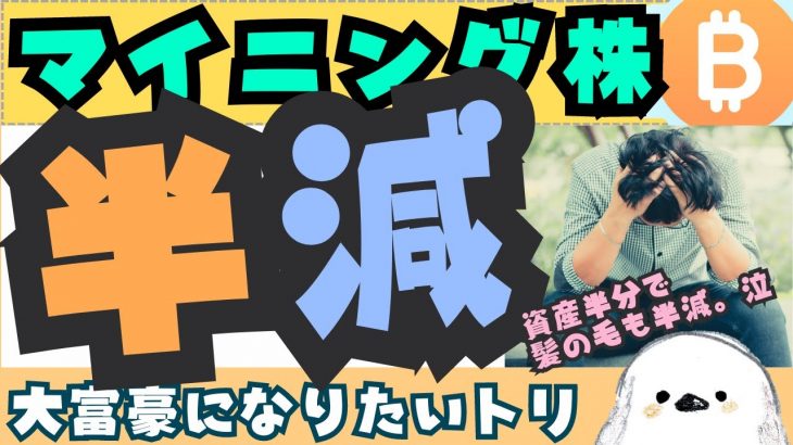 【マイニング株】ビットコイン半減期直前でMARA、RIOT、MSTRはどうなっちゃうの？BTCの過去の半減期から今後を考えよう！資産半分になって髪の毛も半分になりそう。【CIFR/CLSK/暴落】