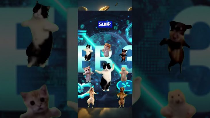 【Meta社OBが開発！】注目のアルトコインSUI