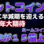 半減期後SHIBコインに期待か！？ビットコイン今週最も重要な週になる。目先７４０００ドルへ。