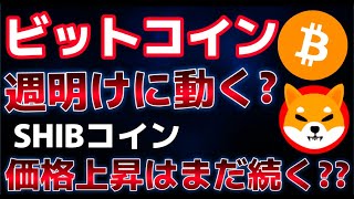 ビットコイン週明けの動きに注目！SHIBコイン引き続き上昇することは可能なのか！？