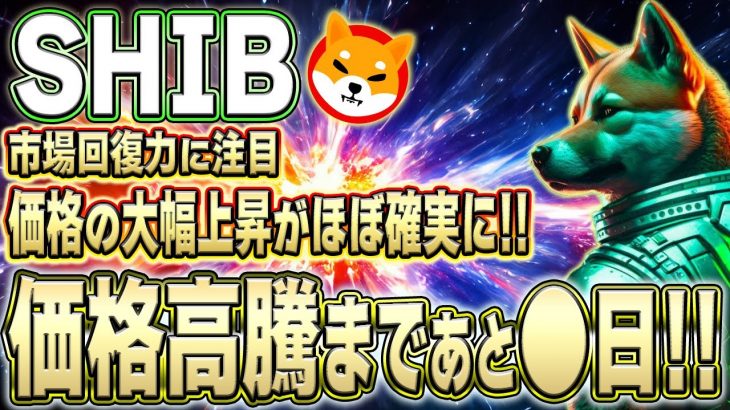 【シバコイン】市場回復力に注目が集まる！SHIBの価格上昇がほぼ確実に！！【仮想通貨】【柴犬コイン】【イーロンマスク】【SHIB】【DOGE】