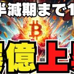 【🔥仮想通貨爆騰】ビットコイン過去最高へ！今爆上げは〇〇？｜イーサリアムが久々爆上げ｜Solanaのミームコインが強すぎワロタ｜犬系も強い！ドージコインと柴犬の頂上決戦
