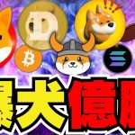 【🔥柴犬爆上げ】仮想通貨急上昇！バブルへようこそ｜犬系ミームコインが急騰｜ビットコインどこまで上がるのか｜イーサリアムも強気予想｜Solanaミームコインあやしいものも｜DOGE,Bonk,Floki