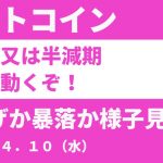 ビットコインＣＰＩか半減期前後で動くぞ！爆上げか暴落か様子見の時