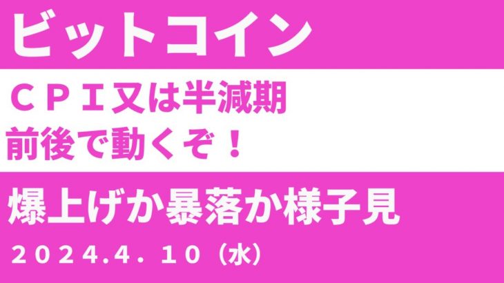 ビットコインＣＰＩか半減期前後で動くぞ！爆上げか暴落か様子見の時