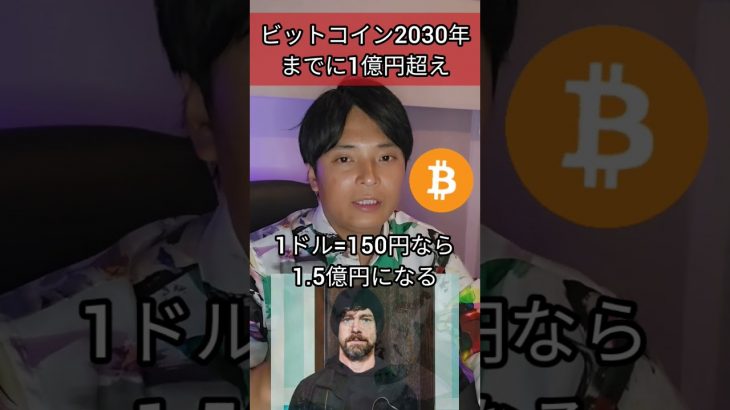 ビットコイン2030年までに1億円超え #投資 #お金 #仮想通貨 #暗号資産 #ジャックドーシー