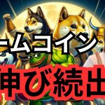 ビットコイン5月末は要警戒？ミームコイン爆上げ続出中！！！