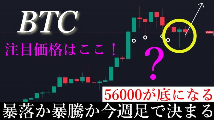 5/10✅「底は56000で下落終了。今日で明確になってきた節目ラインと週足確定での次週以降の動きを解説します」