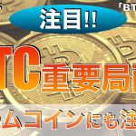【BTC ,FLOKI】ビットコイン重要局面‼︎ミームコインにも注目⁉︎（2024年5月25日相場分析）