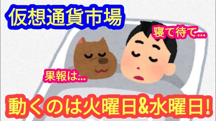 【今週は火曜日＆水曜日の動きに注目を！】本日の相場分析は「BTC・SOL・RNDR・SUI・BCH・ARKM・MPC・ICP・他アルトコイン12種類」2024/5/12