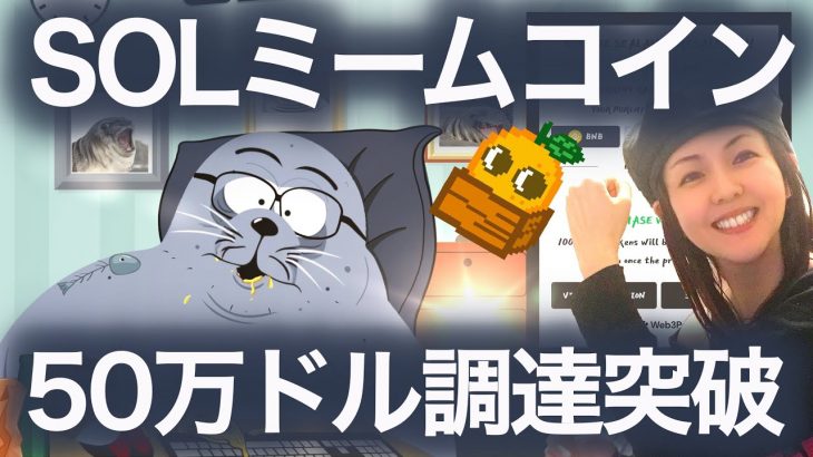 【Solana新しいコイン】既に大注目Sealanaとは?とあるチームが背後にいる? NFTまり