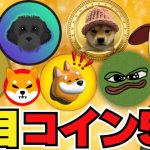 【🔥注目ミームコインTop５】今買い時？リスクについても説明｜ドージコインは今日どう？｜ビットコイン停滞｜イーサリアムめちゃ弱っ｜Solanaミームコインがいい感じ｜トランプ元大統領仮想通貨持ってた｜