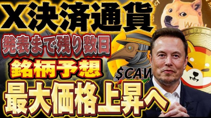 【X決済通貨】※超重要項目※採用後失神するレベルの利益!!やはりあの銘柄か？#仮想通貨 #shib #投資