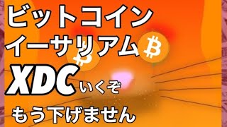 ビットコイン イーサリアム XDC いくぞ！もう下げません