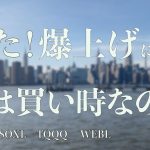 米国株は株高になる？至急リスクオン爆上げ　アップル決算　パウエルさんのハトで強気相場開始　ビットコイン