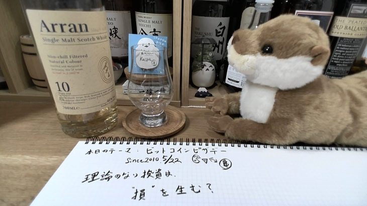 【仮想通貨】教訓：理論のない投資は損を生む【ビットコインの価値を改めて考えよう】