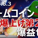 ミームコイン爆上げ祭り第2波が発生。ビットコインより買い?