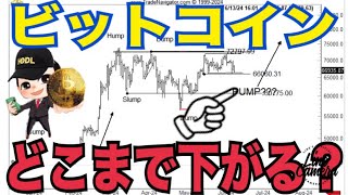 ビットコイン今後どこまで下がるのか？重要サポートライン60,000ドルか！？