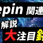 【大注目】Depin関連銘柄peaqとは？【仮想通貨】#ビットコイン #仮想通貨 #暗号資産 #Depin #Peaq