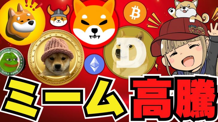 【🔥爆騰ミームコイン】ビットコイン最高値へ！注目コイン目白押し｜イーサリアム高騰前・６月に何が起こる｜ドージコイン・柴犬を超えられるか？犬系が強い｜LINEスタンプ発売間近