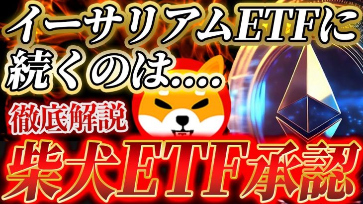 【柴犬コイン(SHIB)】マーケティングリーダーがETFについて発言！イーサリアムに続くのは….｜仮想通貨最新