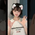 #柴犬コイン　#注目コイン