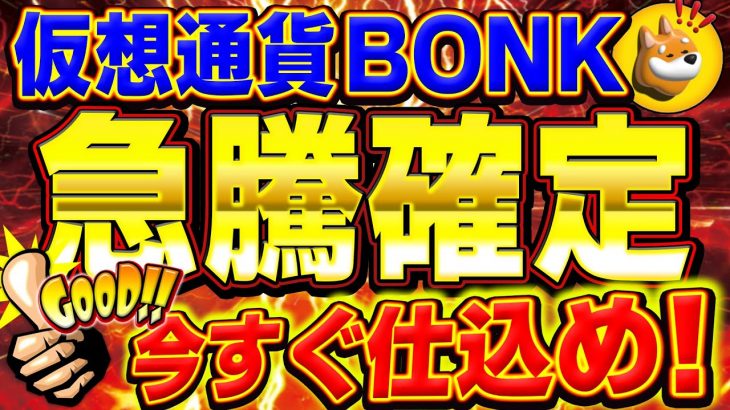 【仮想通貨】BONK急騰確定！爆上げ前に仕込め！資産2倍以上に増やす技！【BURN】#crypto #bonk #burn #solana