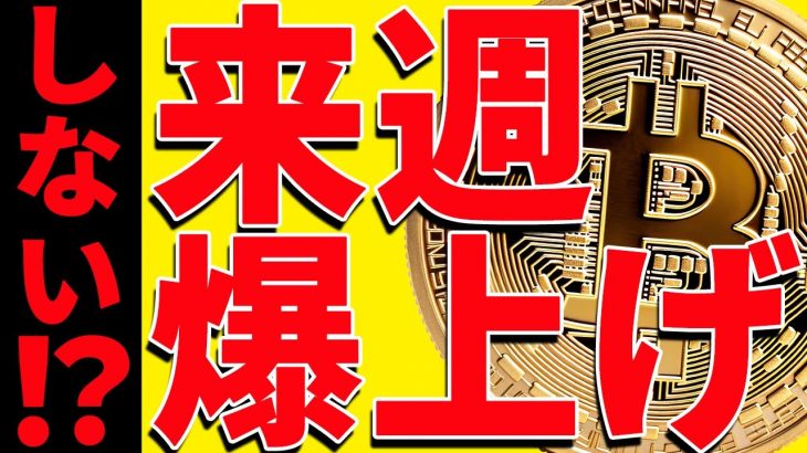 ⚠️重要⚠️ビットコインは来週爆上げしない⁉︎今後の最新分析を共有！【仮想通貨】