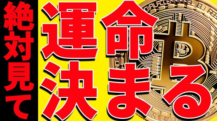 ⚠️絶対見て⚠️ビットコインが今後爆上げできるのかは〇〇次第！最新分析を共有！【仮想通貨】