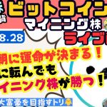 2024/08/28(水)米国株/マイニング株Live🎤ビットコインは様子見か？NVDAの決算に最高値更新がかかってる？って話🐥【COIN、MSTR、MARA】【資産6500万円ムクエナガ】