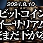 ビットコイン・イーサリアムまだまだ下がる［2024/8/10］【仮想通貨・BTC・ETH・FX】※2倍速推奨