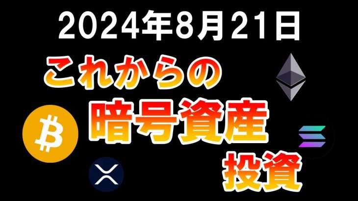 これからの暗号資産投資について！ビットコインやイーサリアム、ソラナやリップルに引き続き積み立て投資を継続【2024年8月21日 BTC ETH SOL XRP】